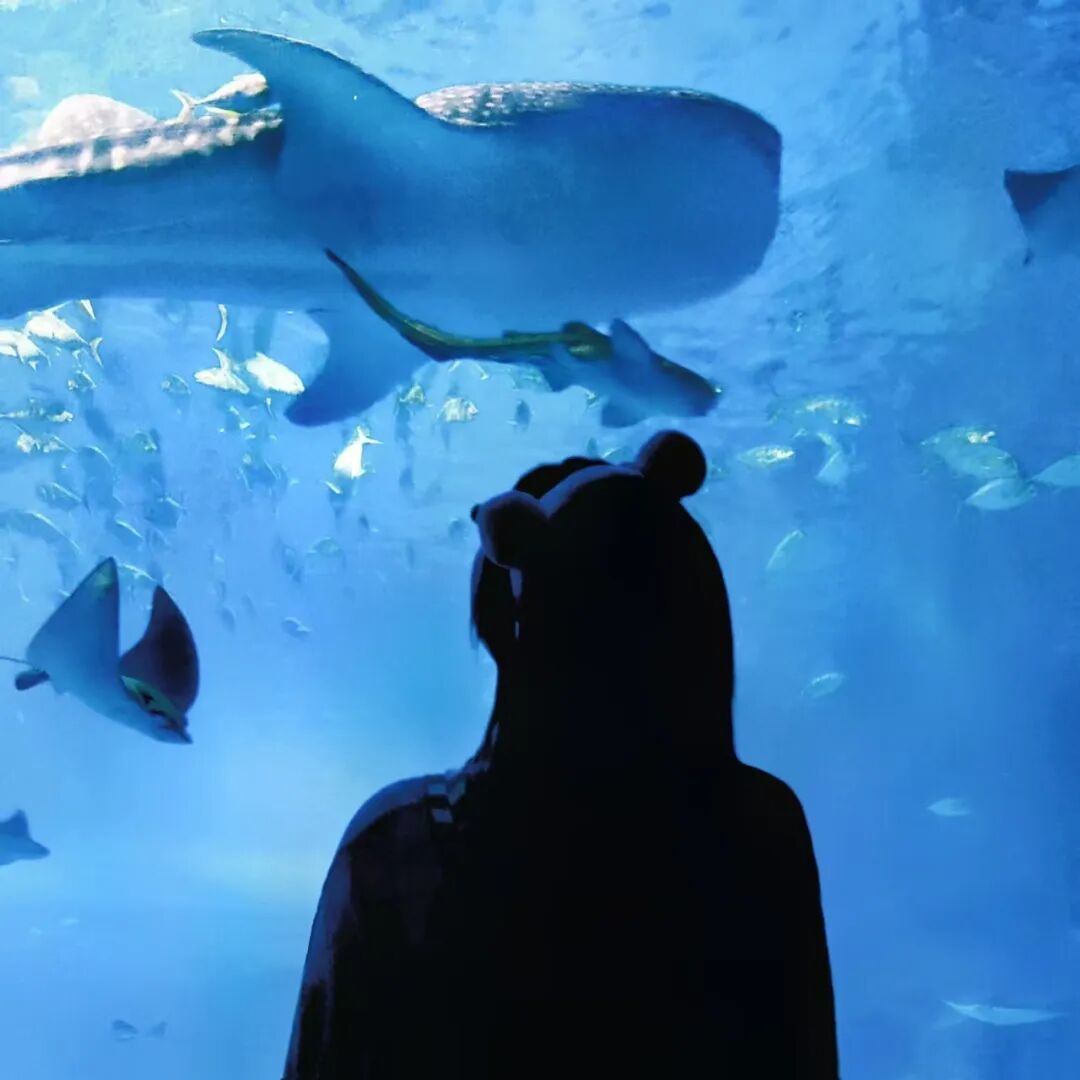 贷款上学、负债上班的00后