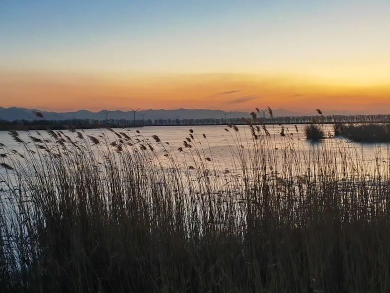 疫情防控策略转变后，这些代价你知道吗？最新消息来了