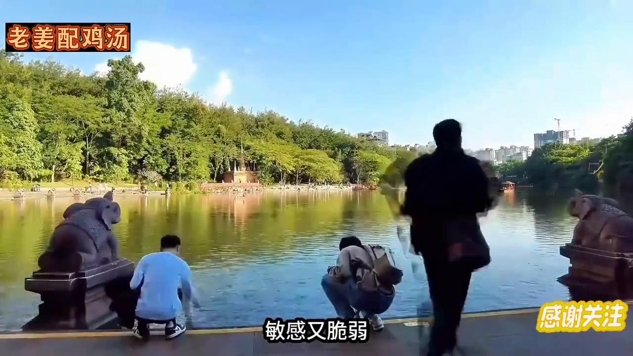 云南瑞丽疫情乌龙!封城传闻系旧料拼凑,实际运转如常