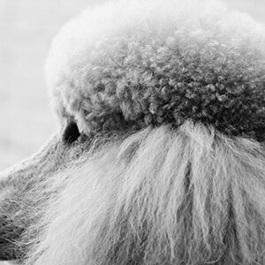 疫情延期上班期间公司办停薪留职该咋办,律师来解答