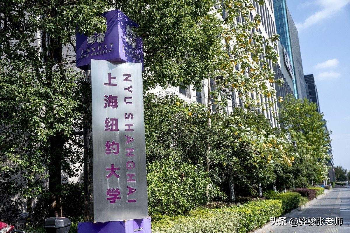 民办大学与中外合作办学大学的区别及学费情况大揭秘