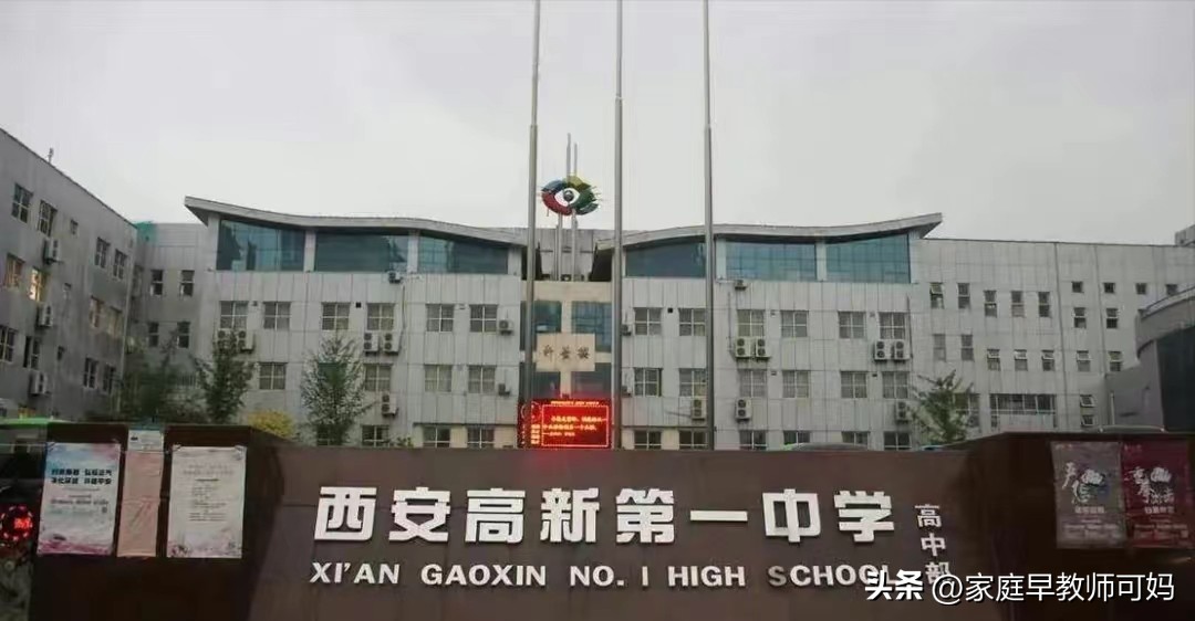 2023 年高考分数公布,多省高考状元成绩及分数线情况盘点