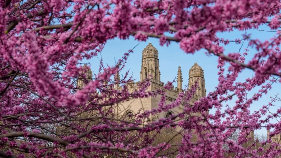西湖大学本科生海外交流:首批50名学生陆续启程,目的地更多样