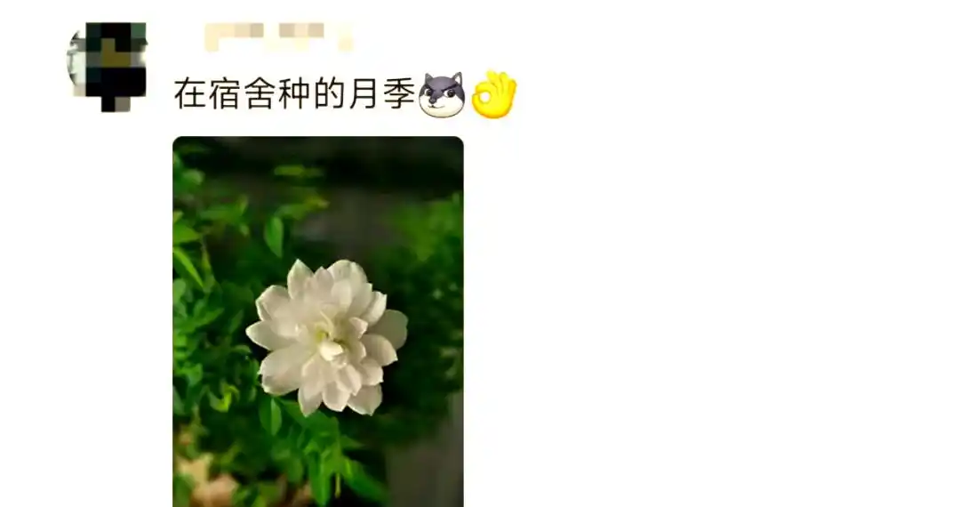 大学宿舍超宽敞,入住虽不习惯但幸福,还能个性改造