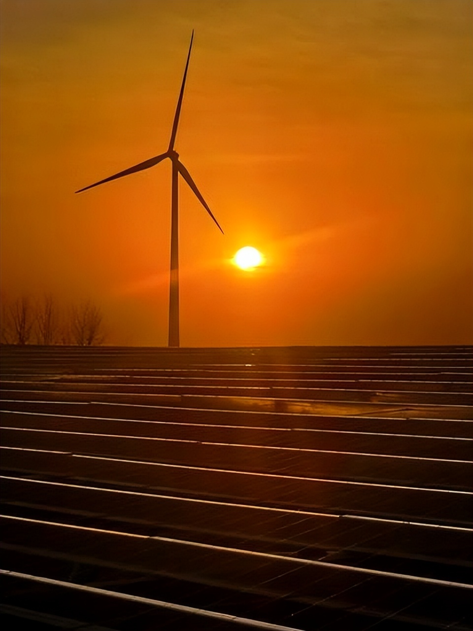 未来十年能拿铁饭碗的大学专业,这些行业里藏着